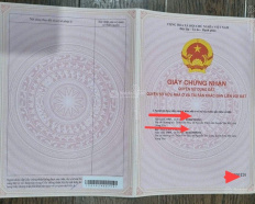 Ảnh đại diện