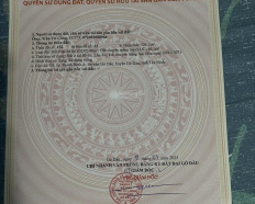 Ảnh đại diện