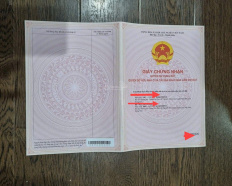 Ảnh đại diện