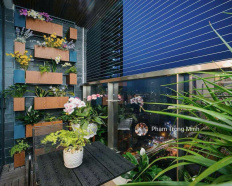 Ảnh đại diện