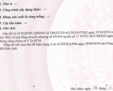 Ảnh đại diện