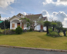 Ảnh đại diện