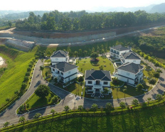 Ảnh đại diện