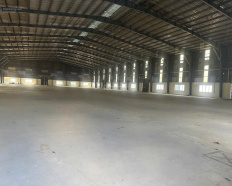 Ảnh đại diện
