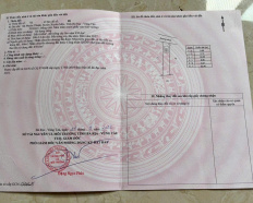 Ảnh đại diện