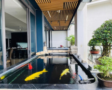 Ảnh đại diện