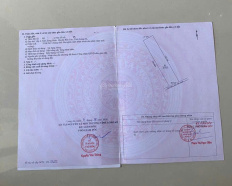 Ảnh đại diện