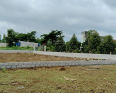 8
            
        
        
            
                
                    
                        Bán đất 49x22m cách nhà thờ Bich Lâm 100m g,có 100m thổ cư), chỉ hơn 3xxx nhiều tiện ích
                    
                
                
                    
                        3,5 tỷ
                            ·
                            1.000 m²
                            ·
                            3,5 tr/m²

                            
                    
                    
                            
                        H. Tân Phú (X. Tân Phú mới)
                    
                    
                
                    
                        Nhanh tay sở hữu lô đất nền đẹp bê đường Nguyễn Hữu Cảnh, xã Phú Xuân, Tân Phú, Đồng Nai với diện tích lên đến 1000m² (có 100m² thổ cư). + Giá: 65tr/m², có thương lượng, tùy lô. + Pháp lý đầy đủ, sổ hồng mới 1 trang. + Chiều ngang mặt tiền: Thuận lợi cho việc xây dựng nhà villa sân vườn  Mình có 3 lô tổng cộng 49x21, 39x26, 28x36m)., khu vật dân đông đúc + Ngõ vào rộng 5m, dễ dàng tiếp cận, phù hợp với xe ô tô, xe tải đi thoải mái. + Mặt tiền rộn...
                    
            
            
                
                        
                                    
            Đăng hôm qua