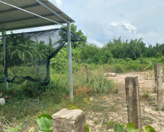 Ảnh đại diện