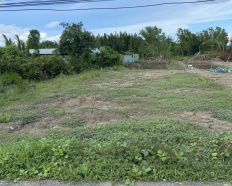 Ảnh đại diện