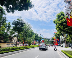 Ảnh đại diện