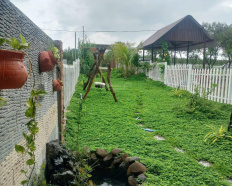 Ảnh đại diện