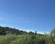 Ảnh đại diện