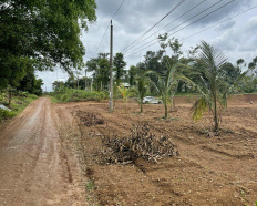 Ảnh đại diện