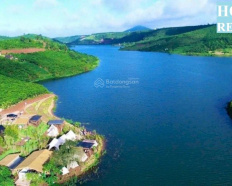Ảnh đại diện