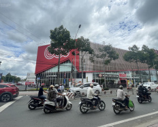 Ảnh đại diện