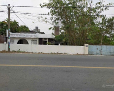 Ảnh đại diện