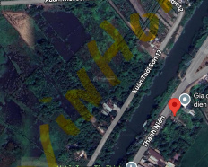 Ảnh đại diện