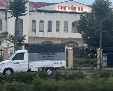 Ảnh đại diện