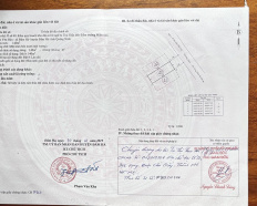 Ảnh đại diện