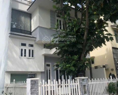 Ảnh đại diện