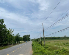 Ảnh đại diện