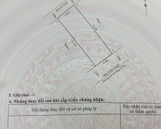 Ảnh đại diện