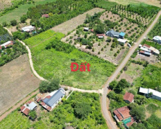 Ảnh đại diện