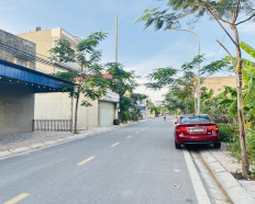 Ảnh đại diện