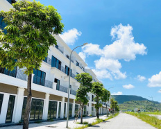 Ảnh đại diện