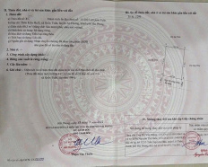 Ảnh đại diện