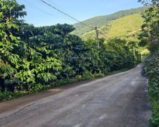 Ảnh đại diện