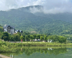 Ảnh đại diện