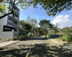 Ảnh đại diện