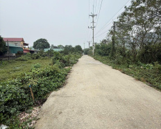 Ảnh đại diện