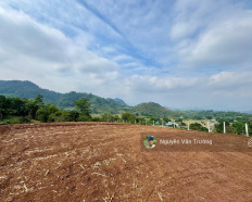 Ảnh đại diện