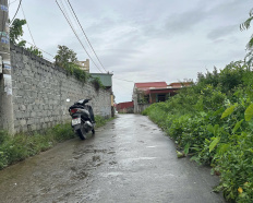 Ảnh đại diện