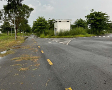 Ảnh đại diện