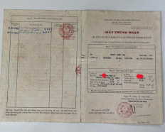 Ảnh đại diện