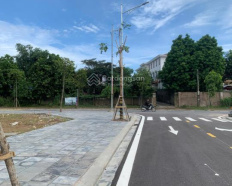 Ảnh đại diện