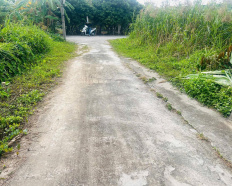 Ảnh đại diện