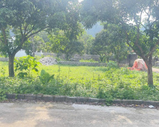 Ảnh đại diện