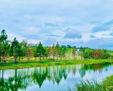 Ảnh đại diện