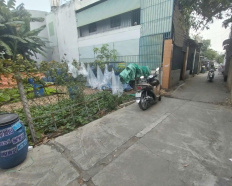 Ảnh đại diện