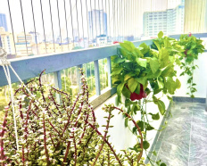 Ảnh đại diện