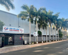 Ảnh đại diện