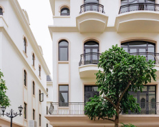 Ảnh đại diện