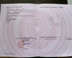 Ảnh đại diện
