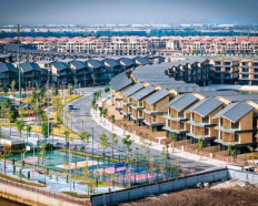 Ảnh đại diện