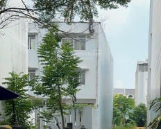 Ảnh đại diện